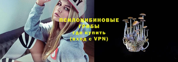 прущий лед Алексин