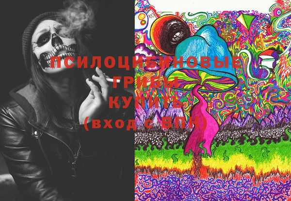 прущий лед Алексин